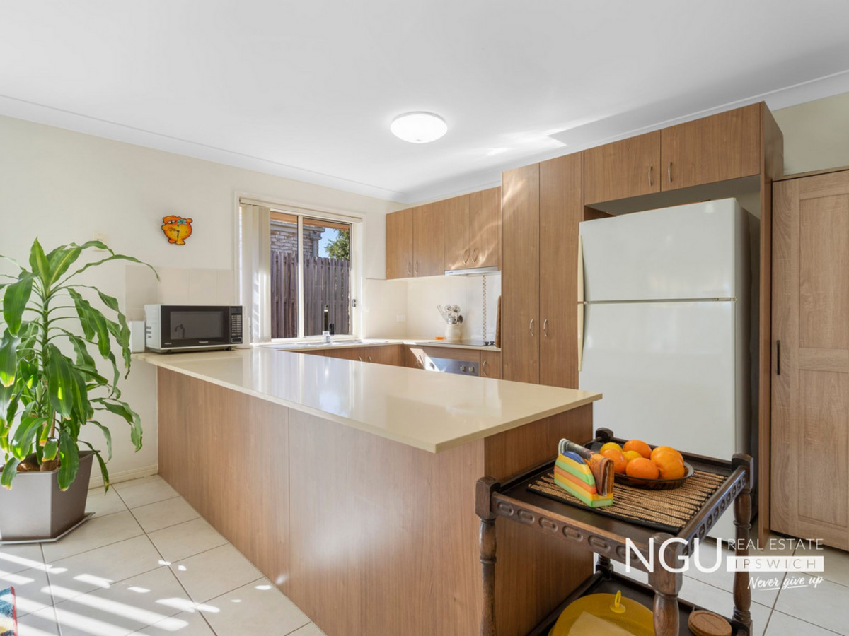 6 ALEXANDRA ST, BRASSALL QLD 4305, 0房, 0浴, House