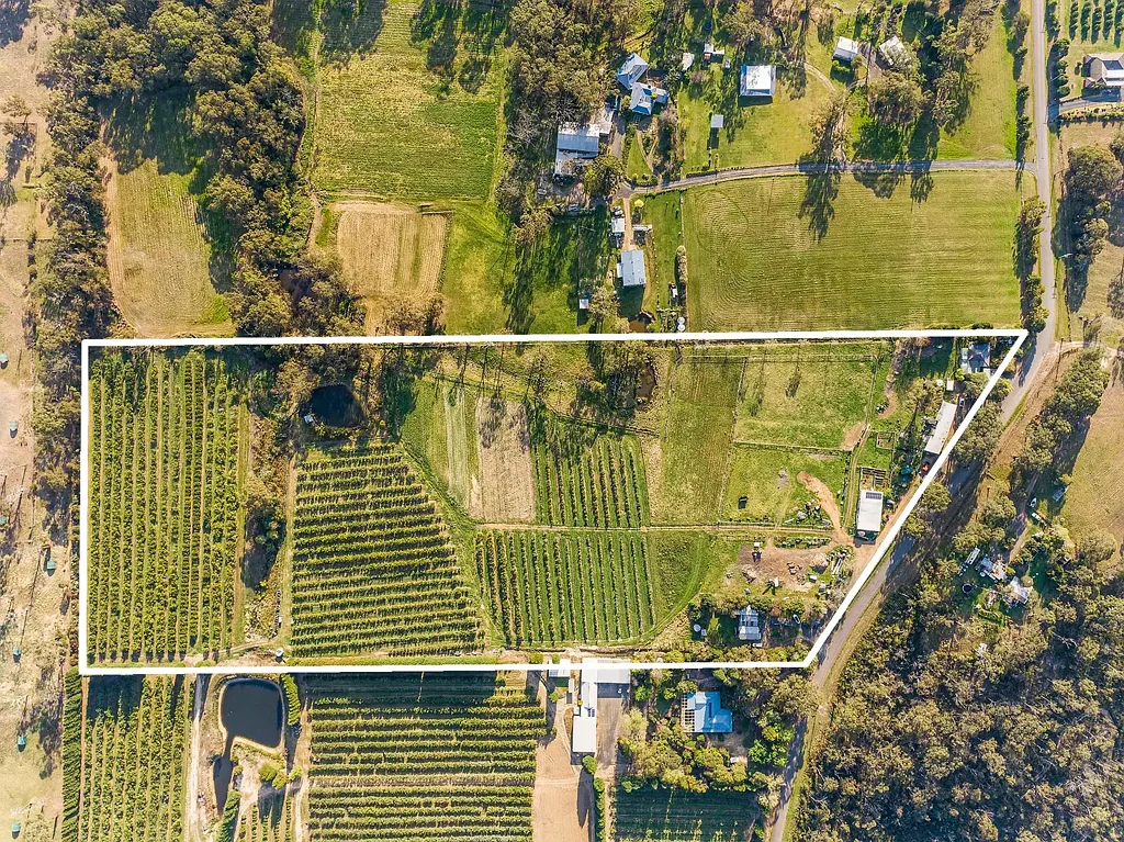75 Waratah Road, Mangrove Mountain, NSW 2250