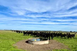 Timboon-Terang Road, Ecklin South