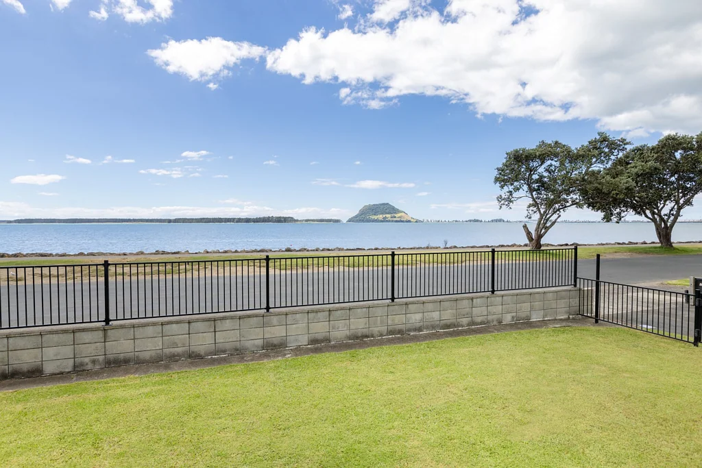 Otumoetai 6房  Large Harbour Front site