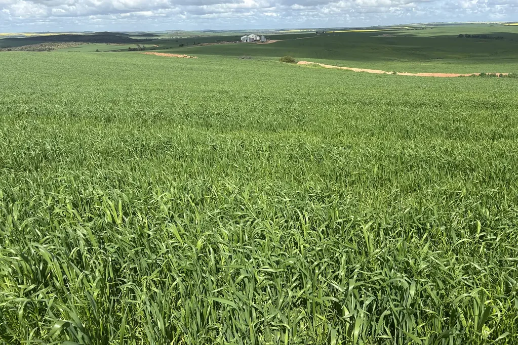 Naraling Outstanding Chapman Valley opportunity