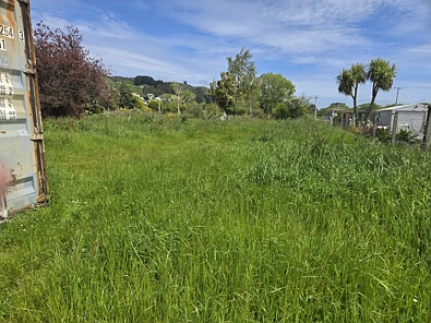 Eddystone Street, Kaitangata, Clutha, Otago, 0房, 0浴, Section