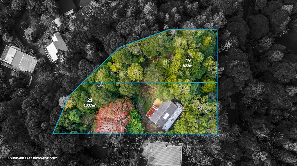 19 & 21 Paturoa Road, Titirangi, Waitakere City, Auckland