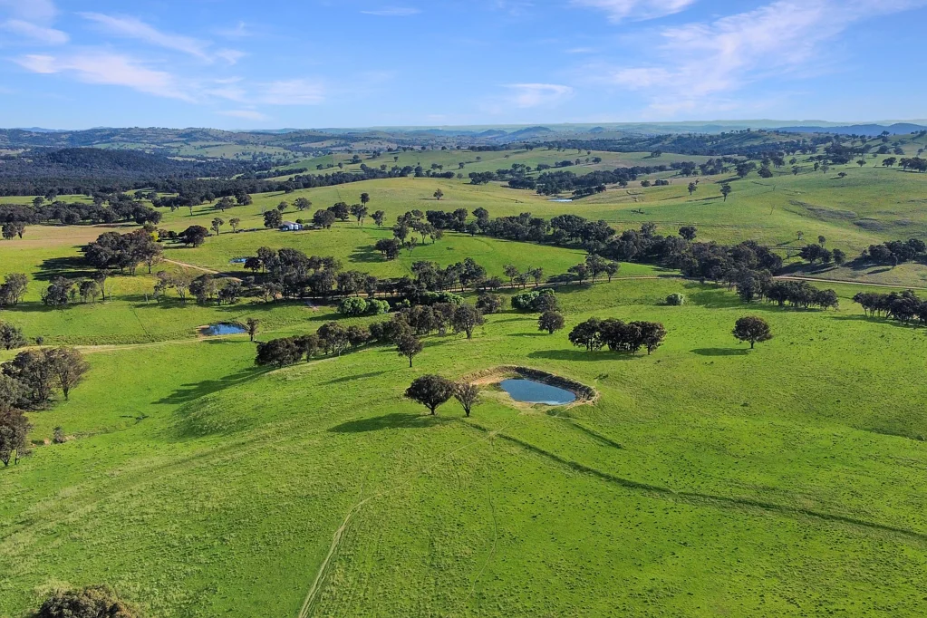 Woodstock 1,385ACRES* OF SECURE, HIGH RAINFALL TABLELANDS GRAZING!