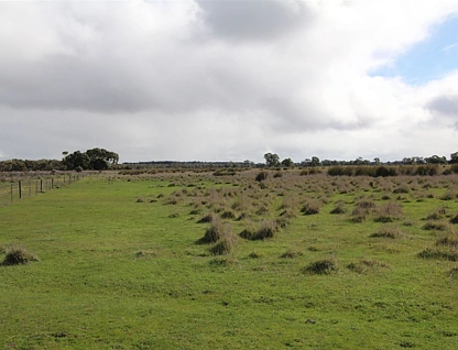 . 10 Lots, Wattle Range, SA 5280, 0 Kuwarto, 0 Banyo, Lifestyle Property