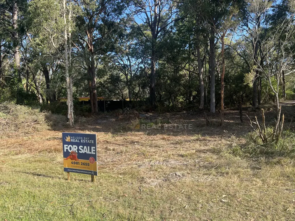 Lot 262 Warri Street, Pindimar, NSW 2324