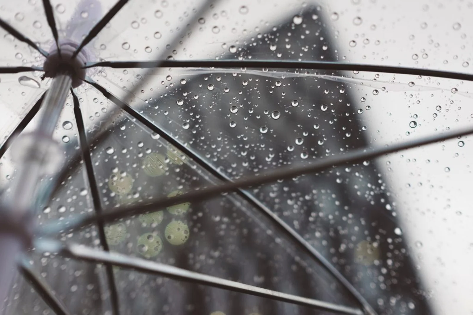 又要下雨啦！潮湿袭来，部分地区有暴雨预警