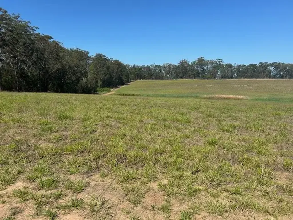 D'Aguilar BE QUICK FOR THIS ONE