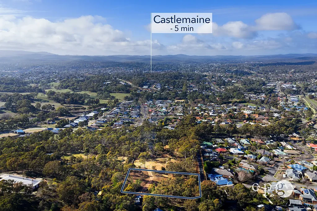 Mckenzie Hill “AS RARE AS HEN’S TEETH”