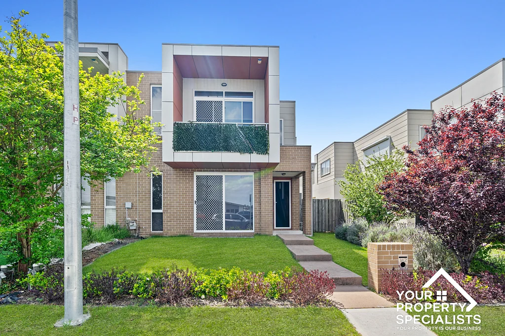 142 Liz Kernohan Drive, Elderslie, NSW 2570