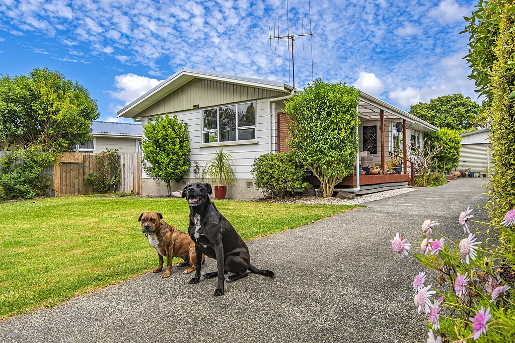 16 Beazley Crescent, Tikipunga, Whangarei, Northland