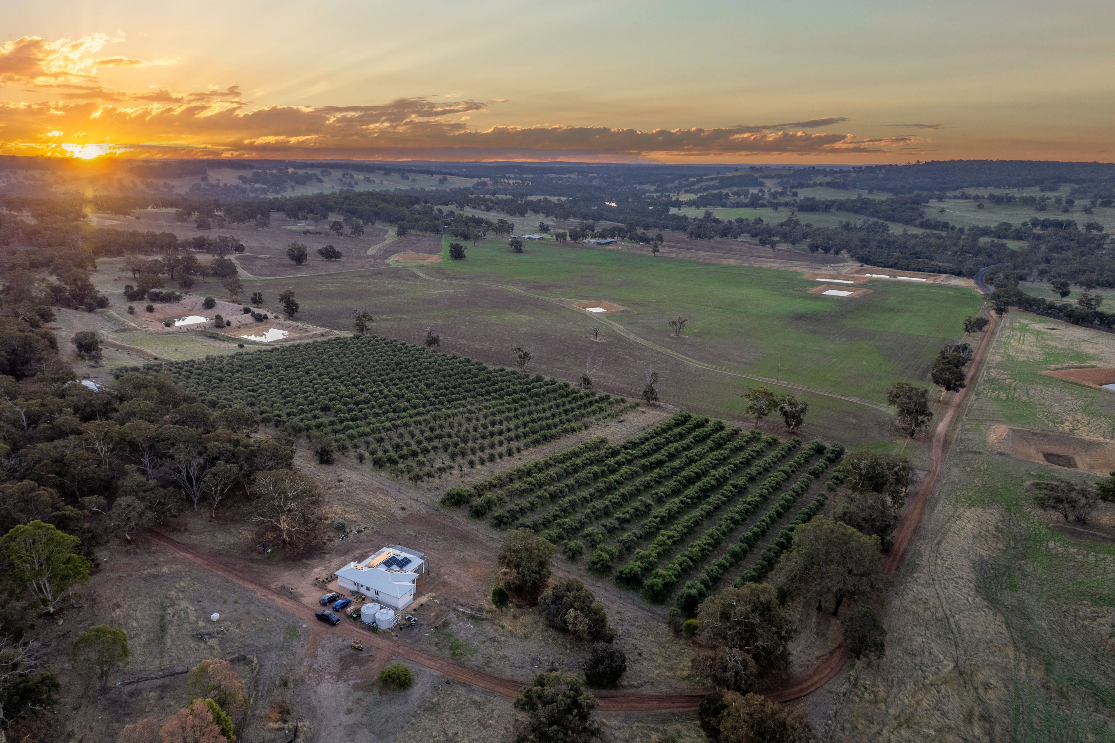 3349 BOYUP BROOK-ARTHUR RD, DINNINUP WA 6244, 0 રૂમ, 0 બાથરૂમ, Lifestyle Property