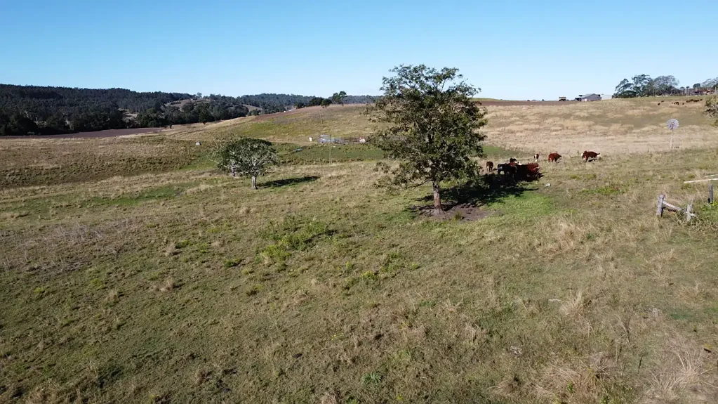 Doubtful Creek SORT AFTER 257 ACRES - LIVESTOCK & CROPPING