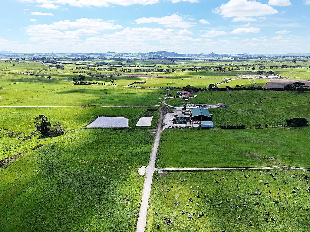 Te Kopuru Productive Dairy Farm - Premium Infrastructure