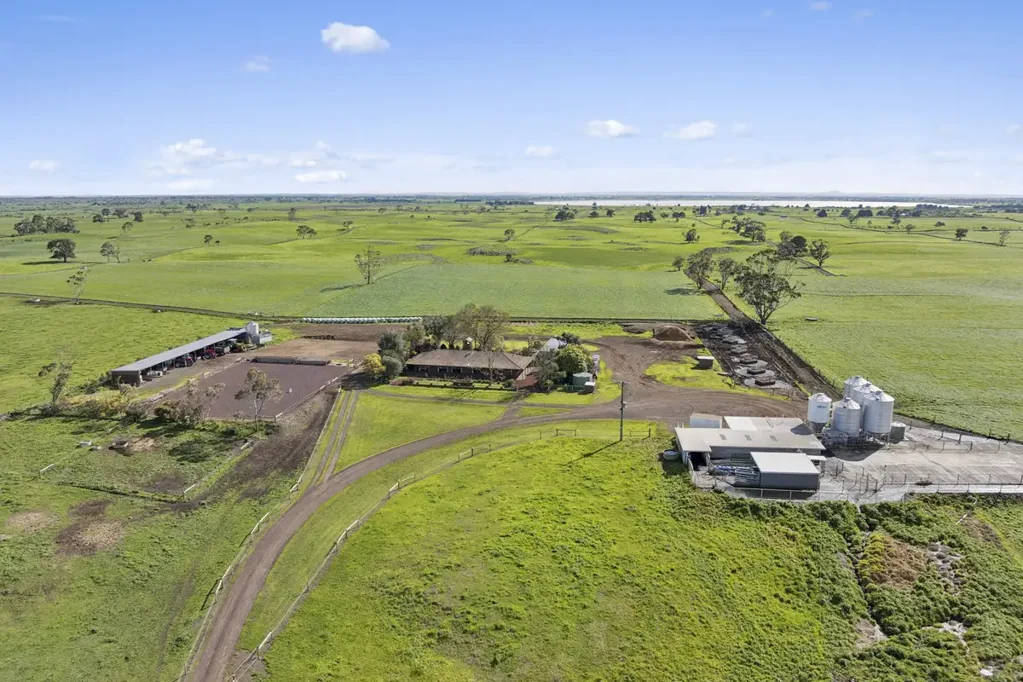 Ondit Top Class Colac District Dairy Farm
