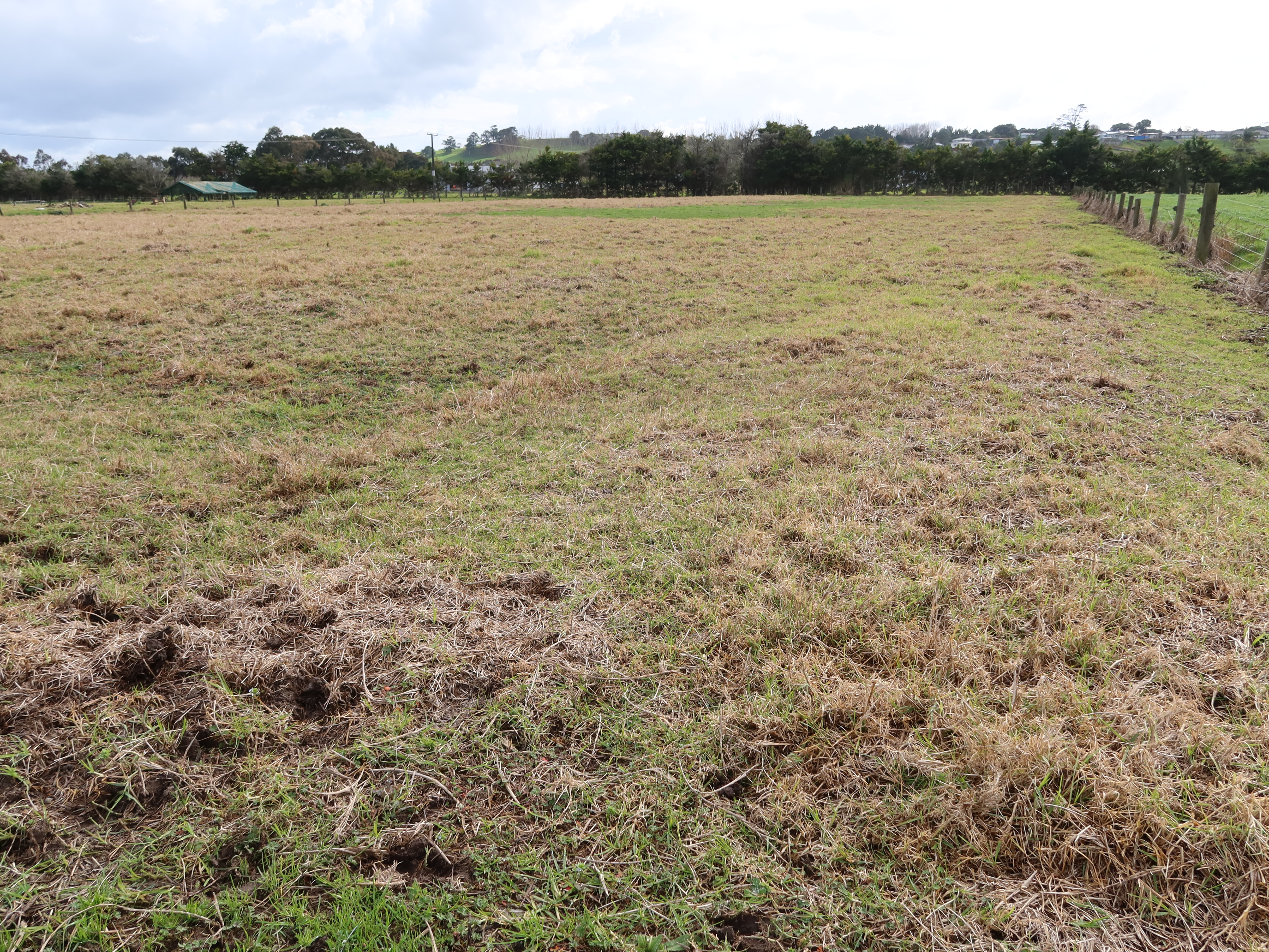 72 Beach Road, Dargaville, Kaipara, 1 phòng ngủ, 0 phòng tắm