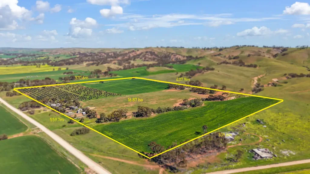 Point Pass 3 Slaapkamer Over 40 Glorious Acres of Rural Lifestyle and Opportunity!