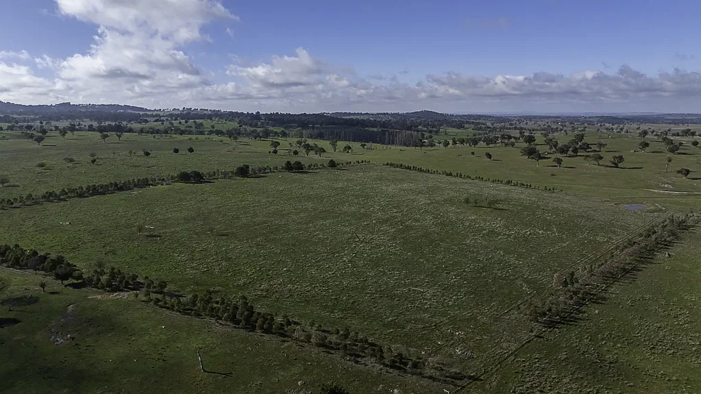 Armidale "Rommel Hill" - More Than a Property. A Lifestyle