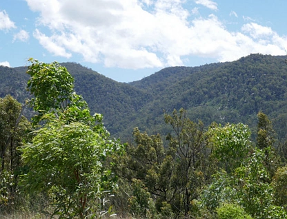 3447 Rocky River Road, Rocky River, Tamworth, 0 Kuwarto, 0 Banyo, Lifestyle Property
