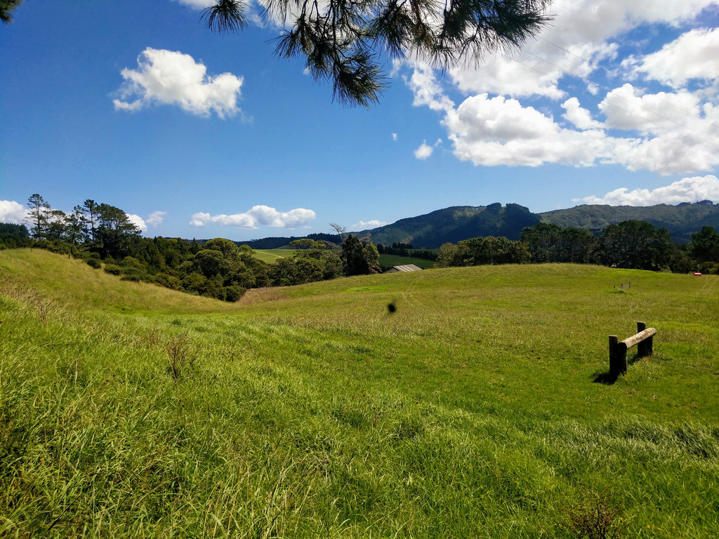 22 Martin Access Road, Makarau, Auckland - Rodney, 4 Schlafzimmer, 2 Badezimmer