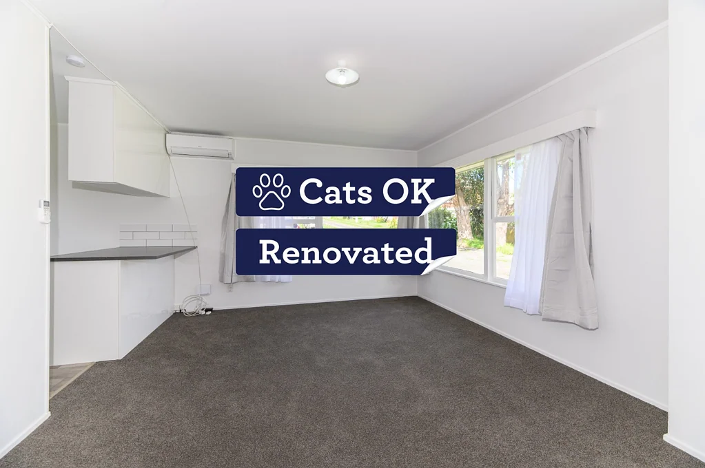 New kitchen, New carpet, New painting! You shouldn't miss it - CAT friendly