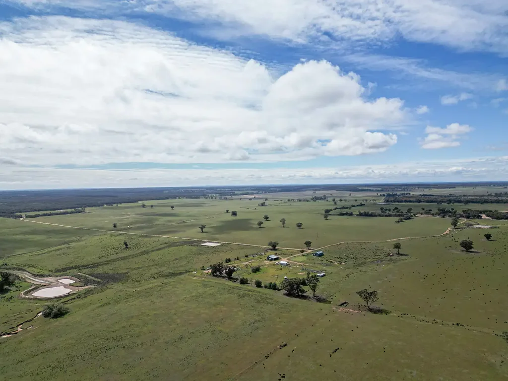 West Wyalong 'Dalmallee