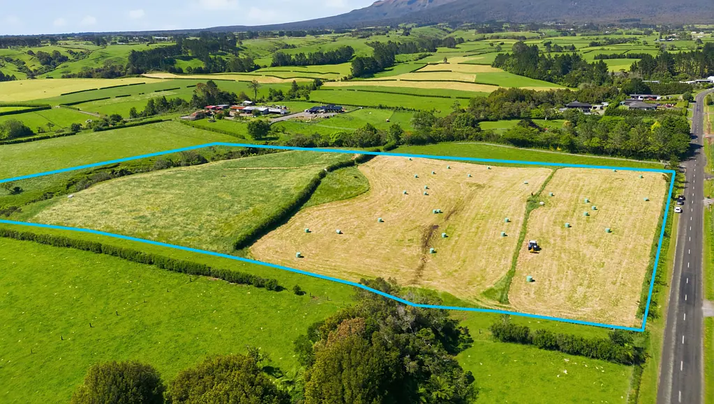 Mangorei  Your Chance To Create Your Dream Lifestyle Is Here