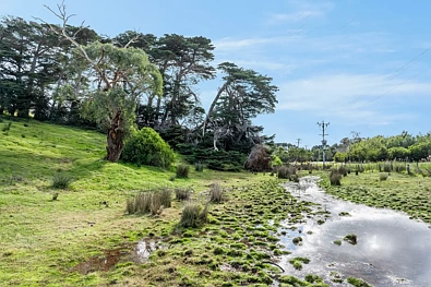 621-659 Wallington Rd, Wallington, VIC 3222, 4 Schlafzimmer, 1 Badezimmer, Lifestyle Section