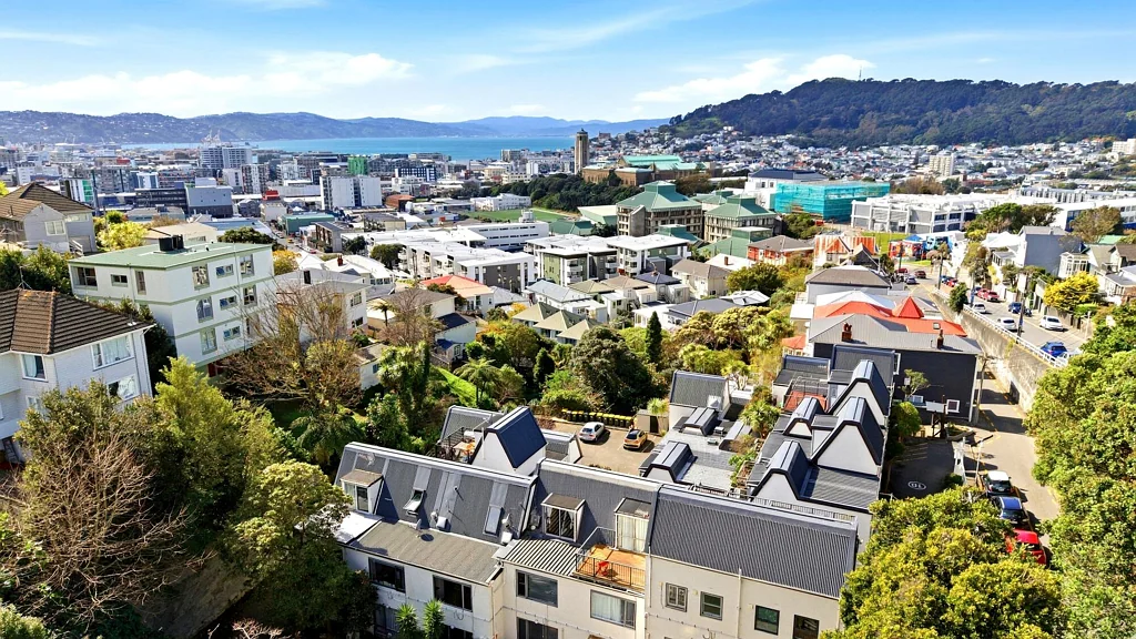Mt Cook 2Moenga CITY FRINGE + HARBOUR VIEWS + CAR PARK!