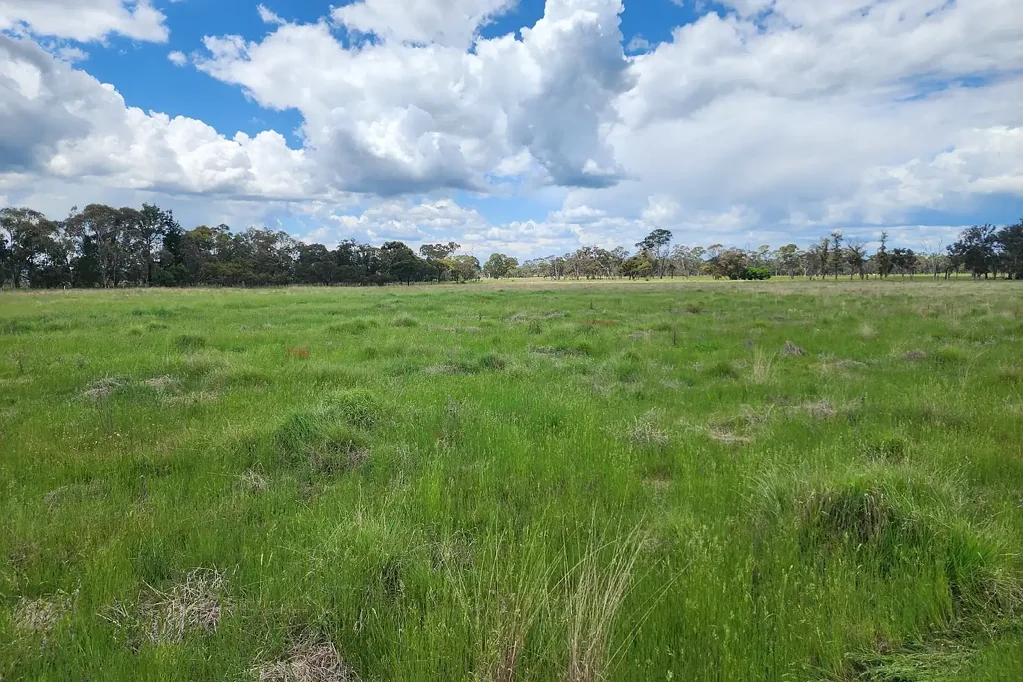 369 Pinegrove Road, Armidale, NSW 2350