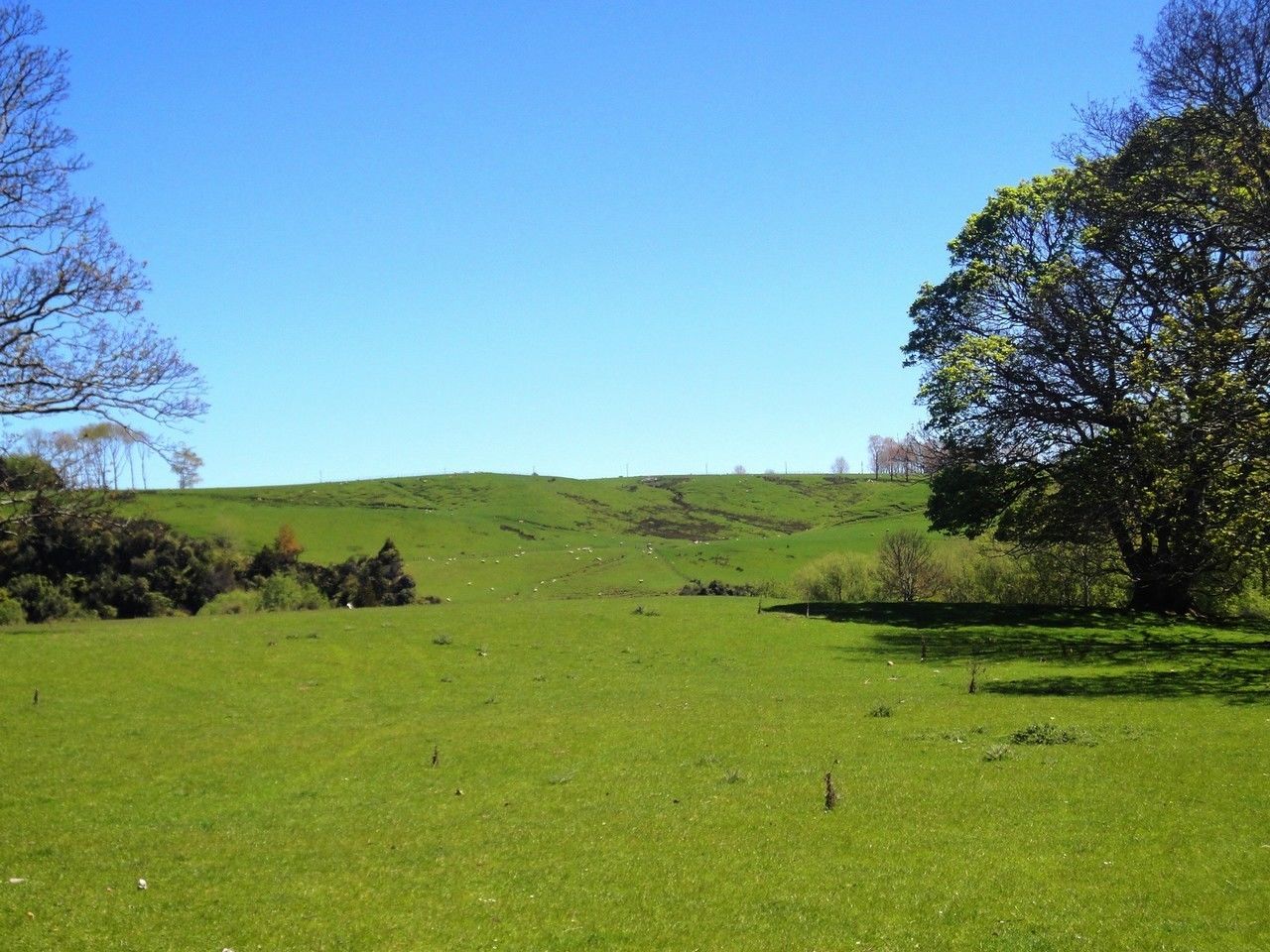 Waituna Tapuae Road, Waituna West, Manawatu, 0 phòng ngủ, 1 phòng tắm