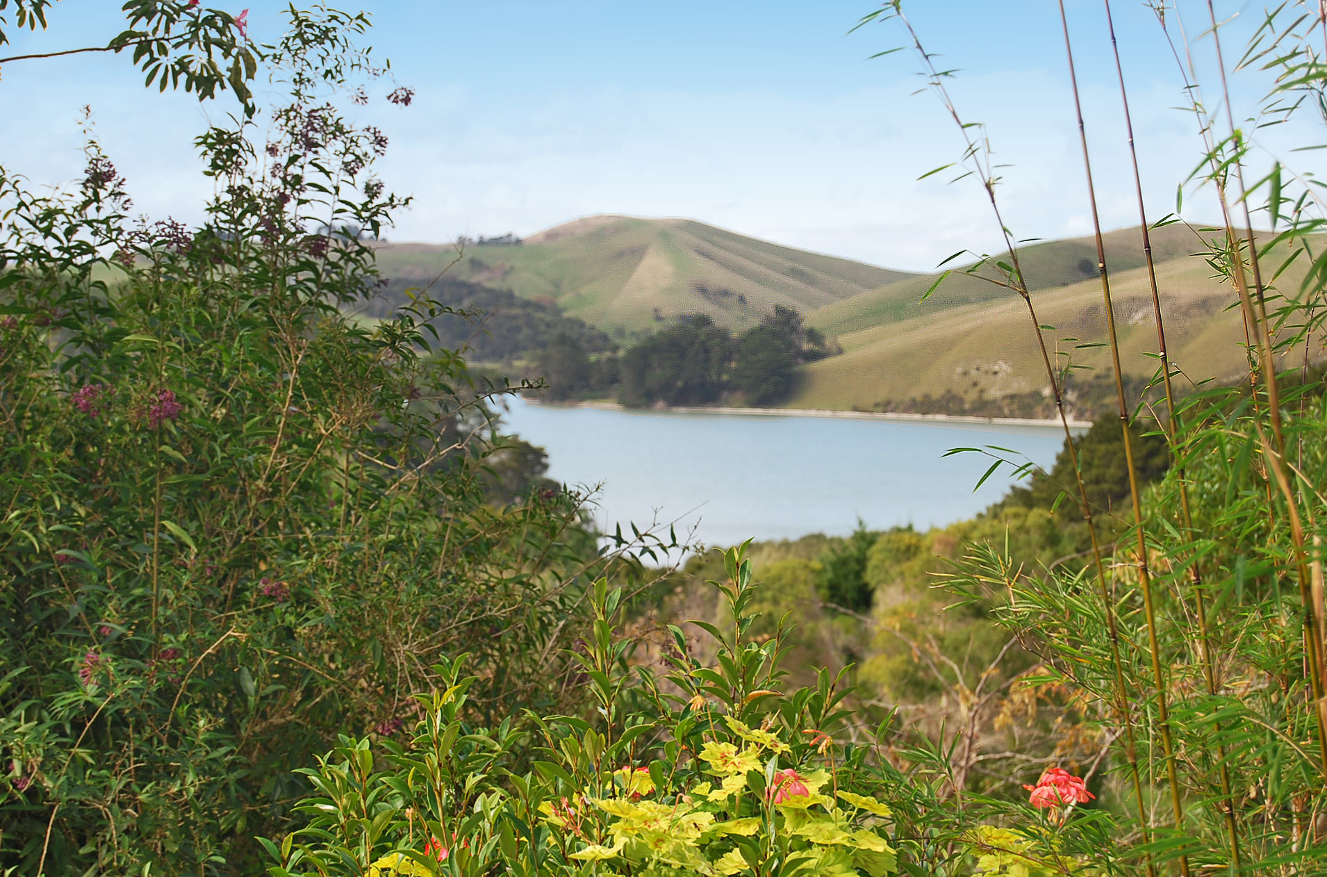 461 Pahi Road, Paparoa, Kaipara, 5 રૂમ, 2 બાથરૂમ