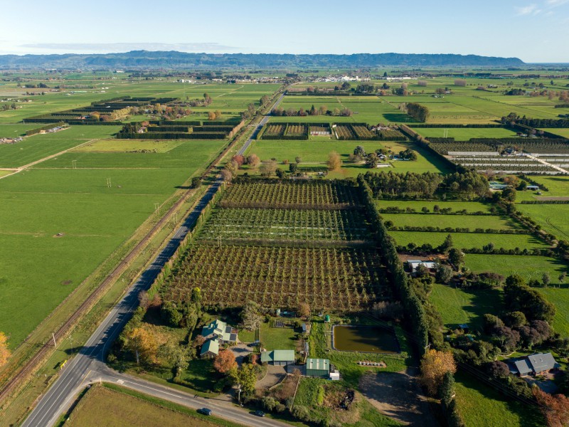 5 Melville Road, Whakatane, Whakatane, 3 rūma, 0 rūma horoi, Horticulture