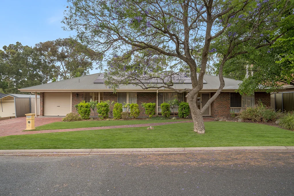 6 Longview Place, Wynn Vale, SA 5127