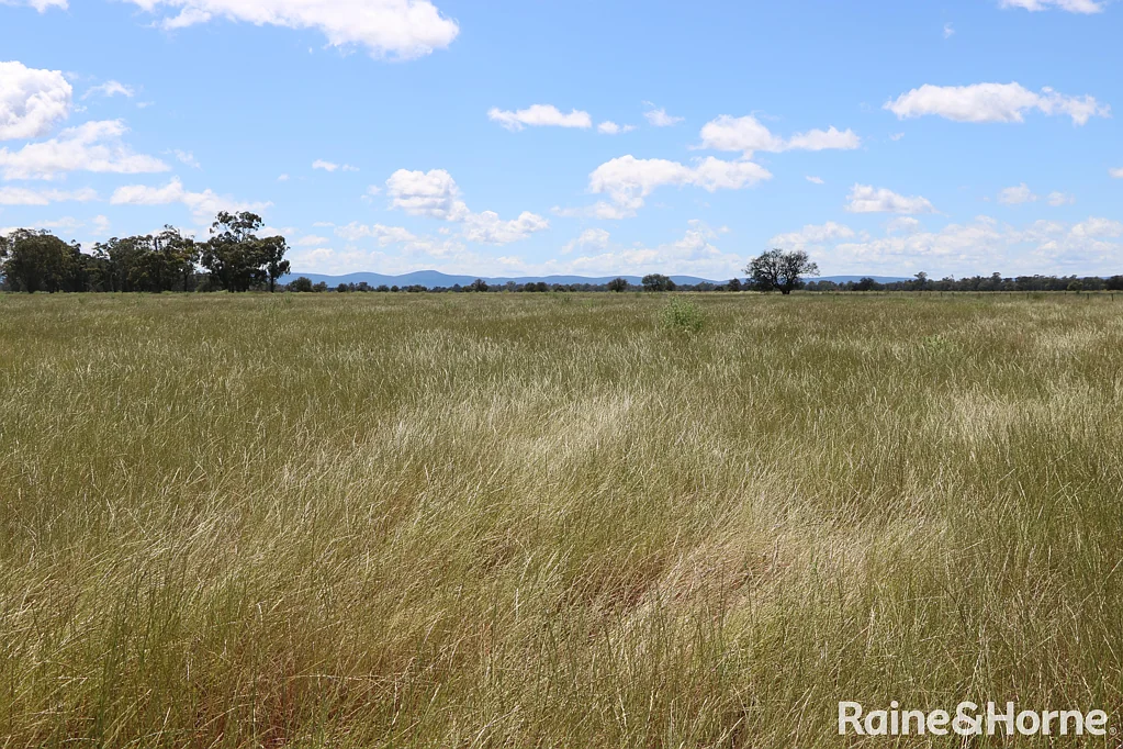 Parkes Great Additional Block or 1st Farm