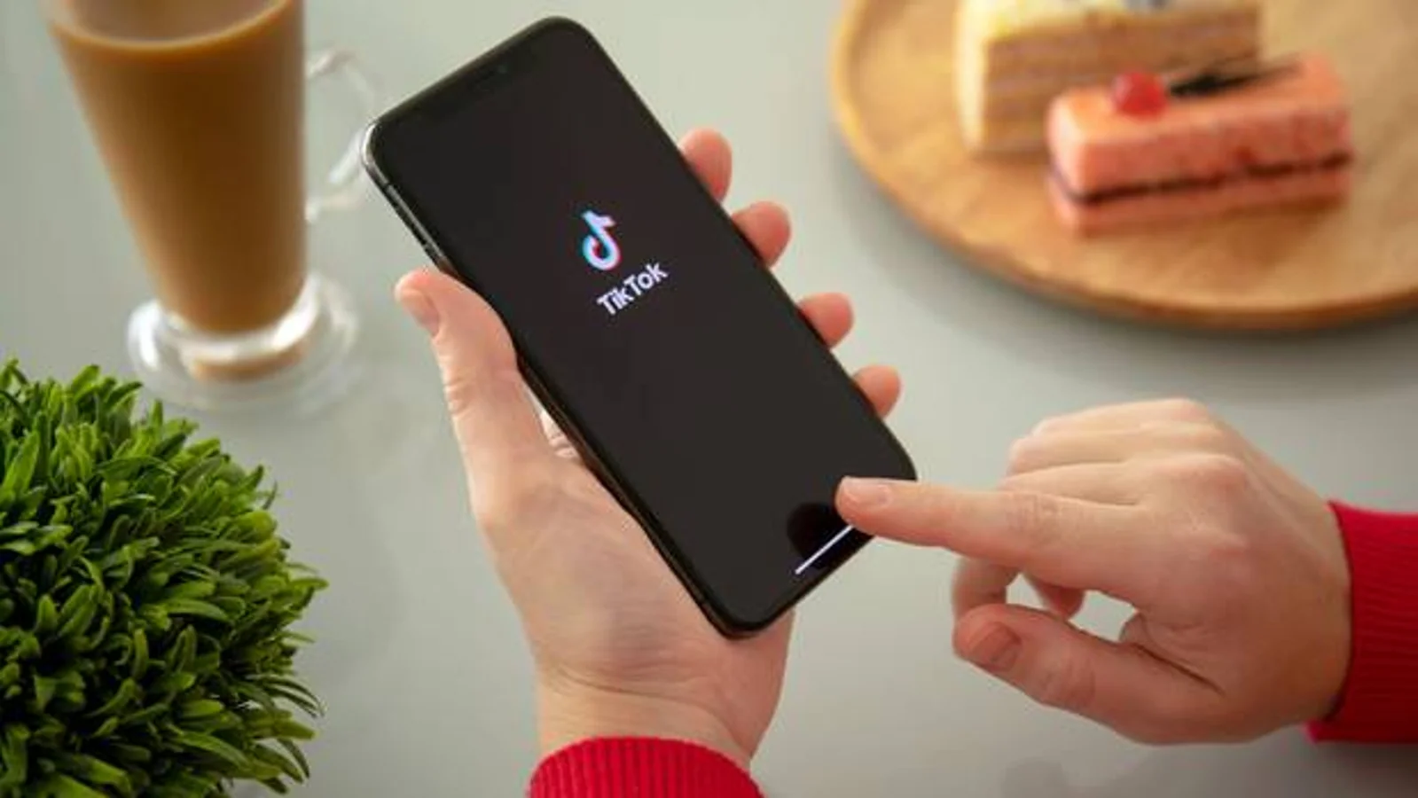 太刚了!TikTok通知新西兰用户,将对禁令进行反击