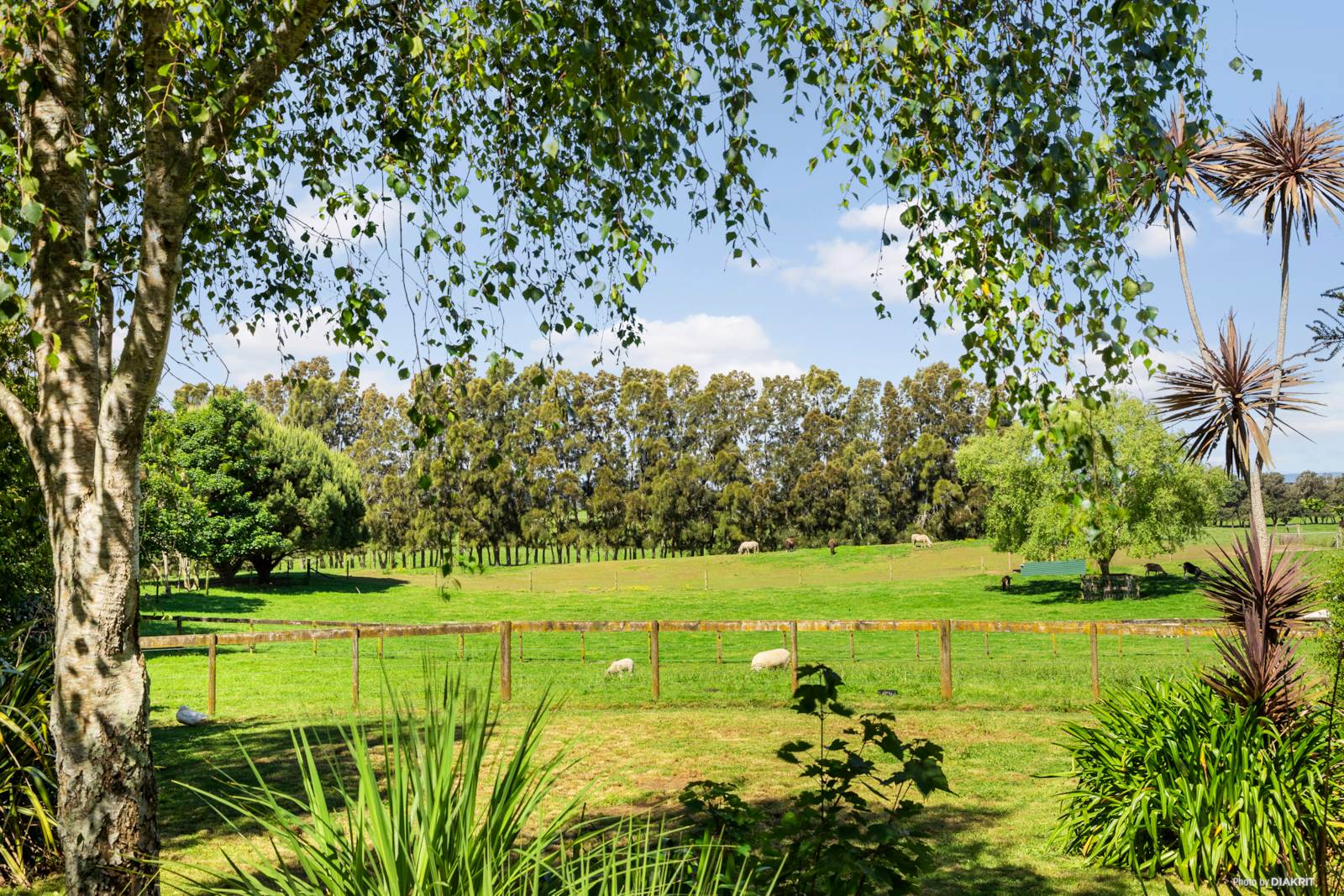 558c Waiau Pa Road, Waiau Pa, Auckland - Franklin, 3 habitaciones, 2 baños