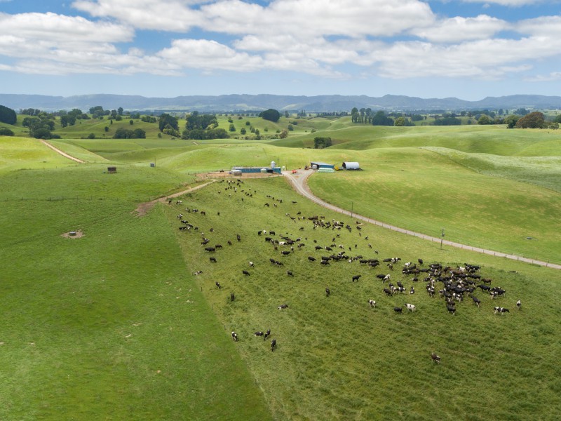 395 State Highway 5, Tapapa, South Waikato, 0 침실, 0 욕실