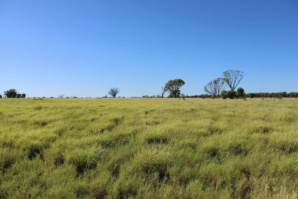 1468 Benlidi Idalia Road, Blackall, QLD 4472