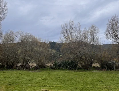 28A Killarney Street, Waitati, Otago Region, 1 રૂમ, 1 બાથરૂમ, Section