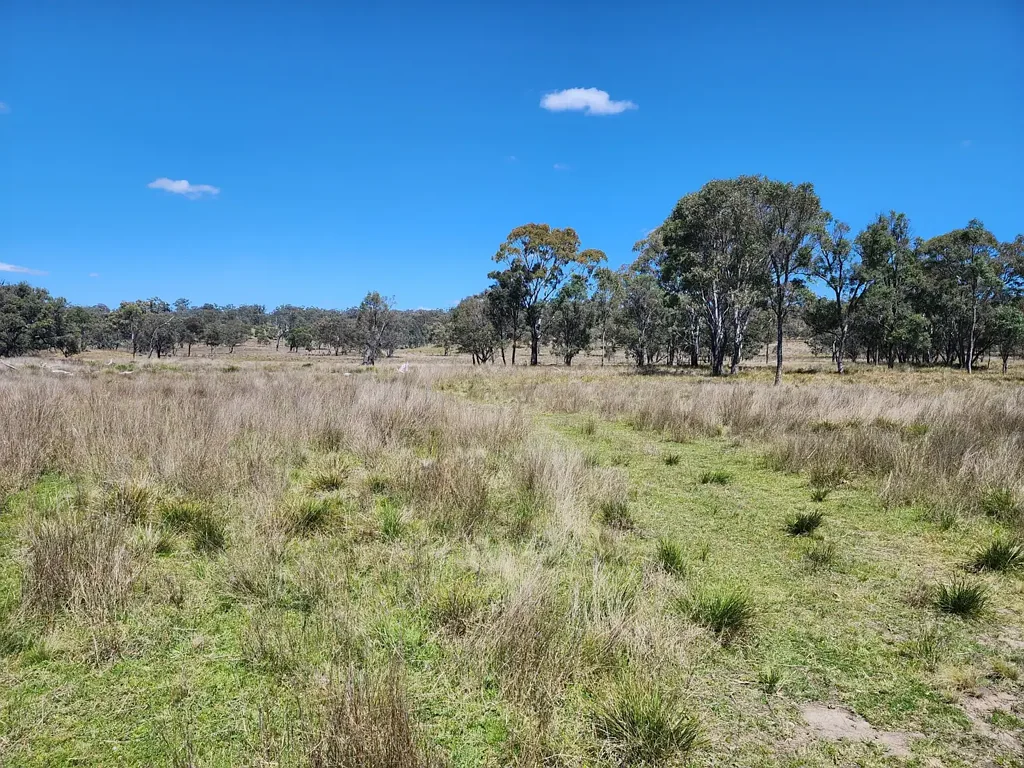 Stanthorpe OFTEN SOUGHT, SELDOM FOUND
