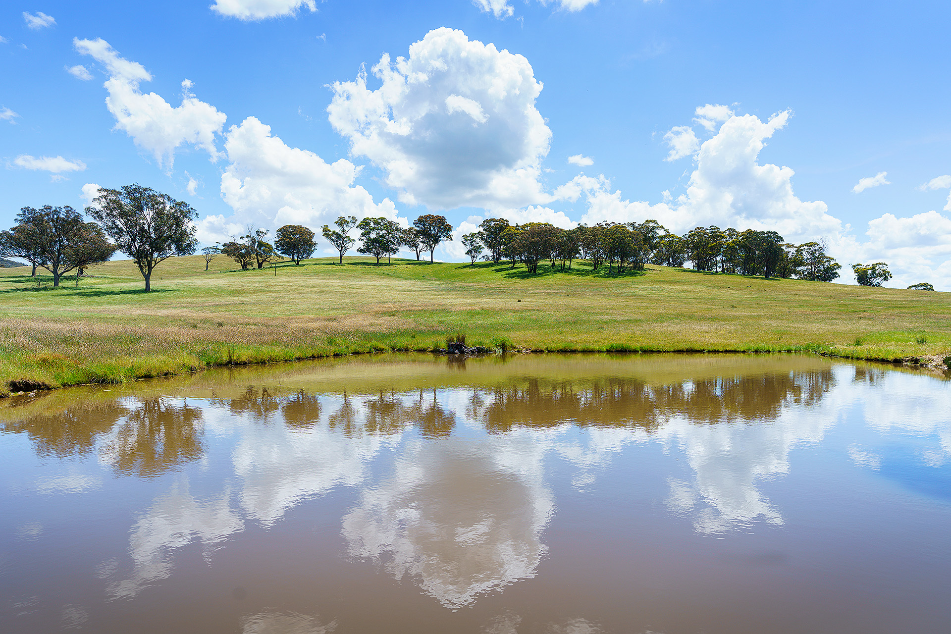 223 NUGGETTY RD, MALDON VIC 3463, 0 ਕਮਰੇ, 0 ਬਾਥਰੂਮ, Lifestyle Property