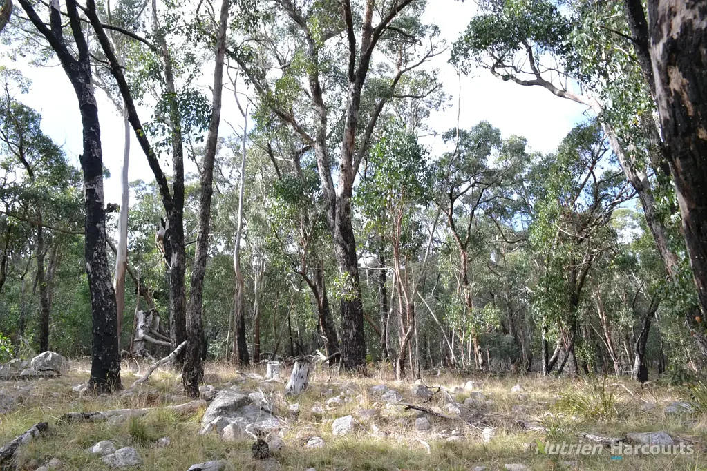 Baynton Superb Bush Block - 32.99ha (81.5 acres)