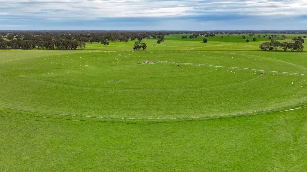 Hynam Cropping | Irrigation | Grazing