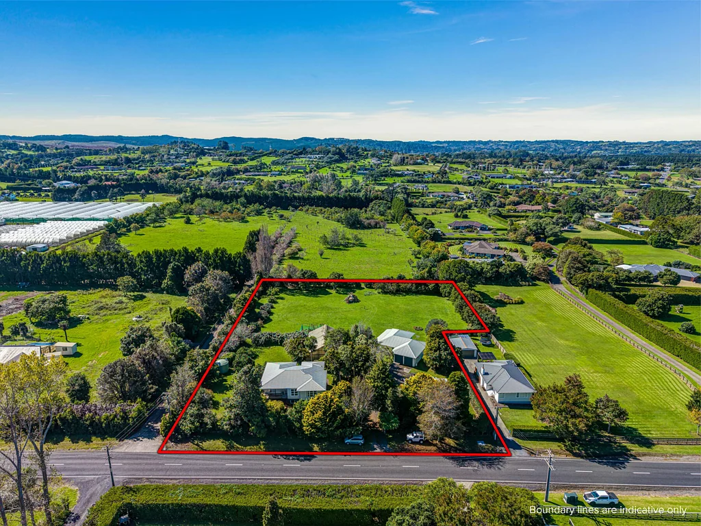 Kumeu  Ripe for the picking