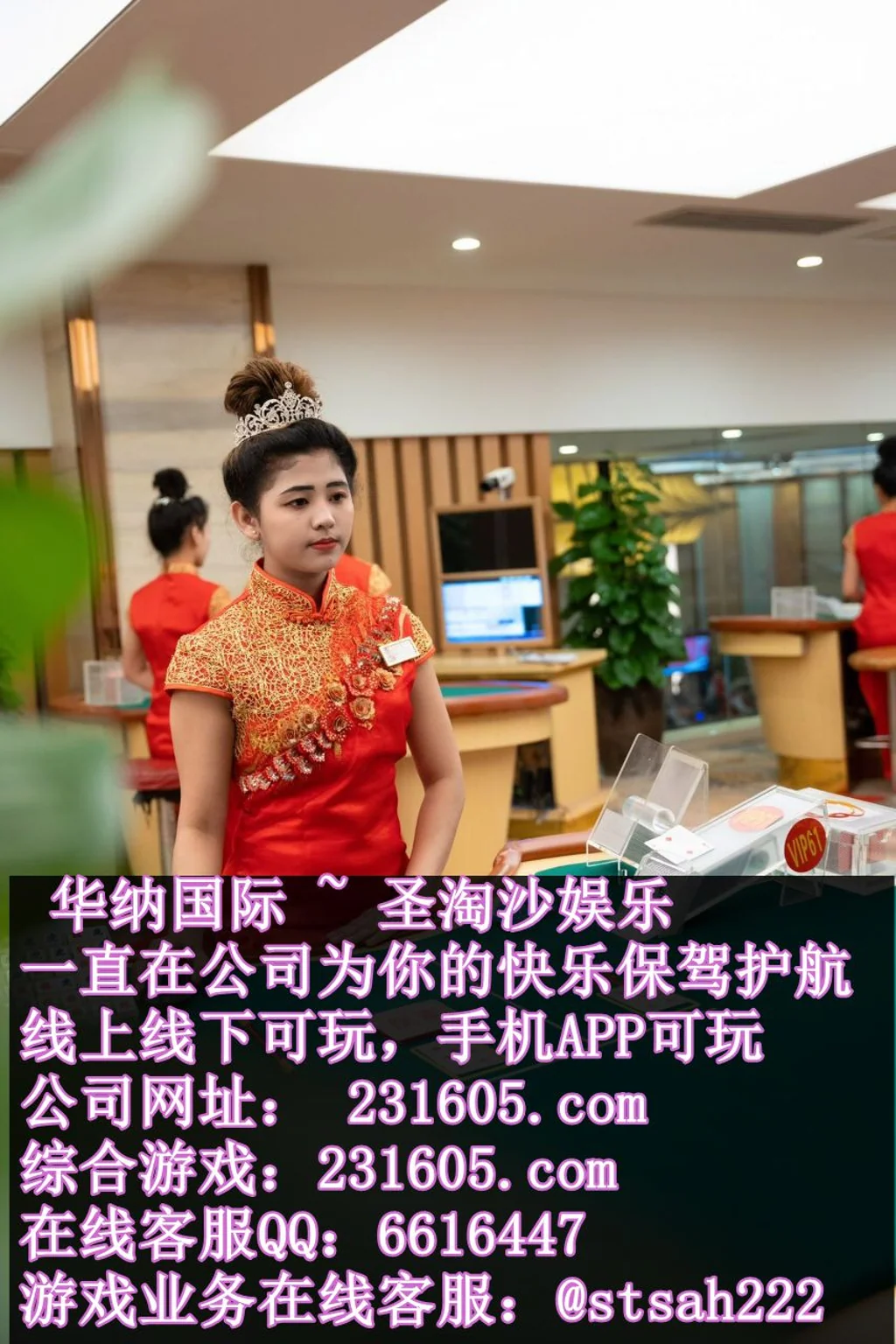 缅甸金狮娱乐线上实体网投开户客服QQ 6616447