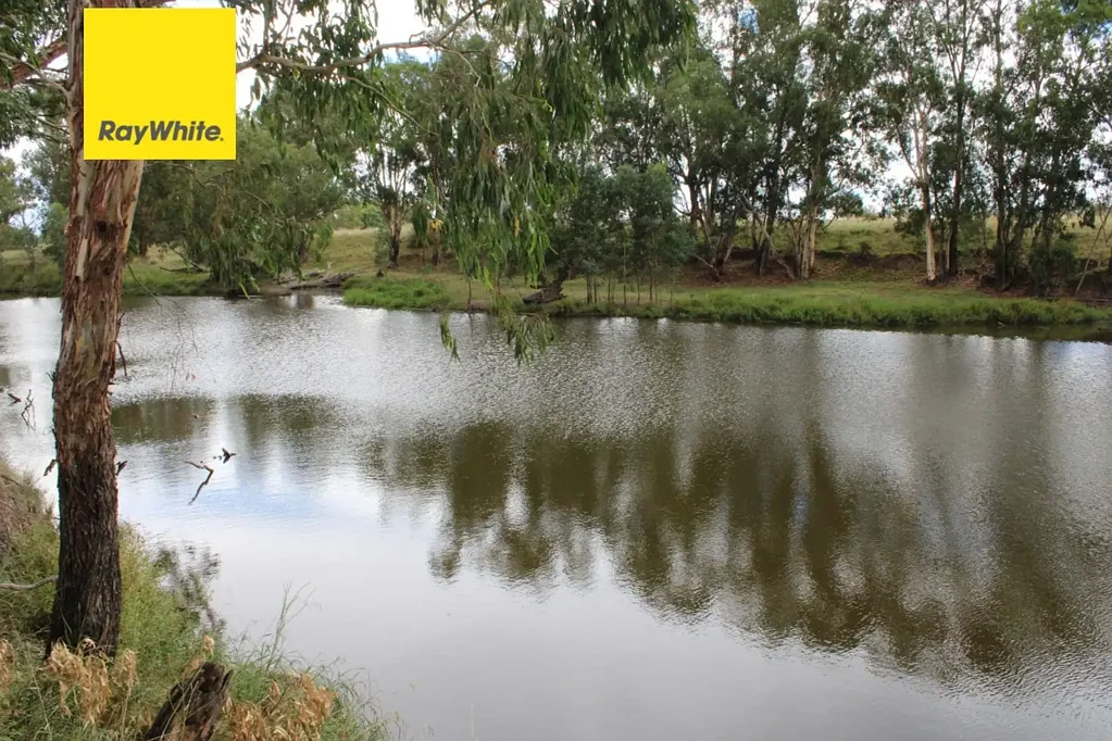Severn Downs,, Ashford, NSW 2361
