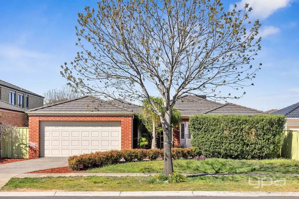 Freshly Updated Home with Solar Advantage!