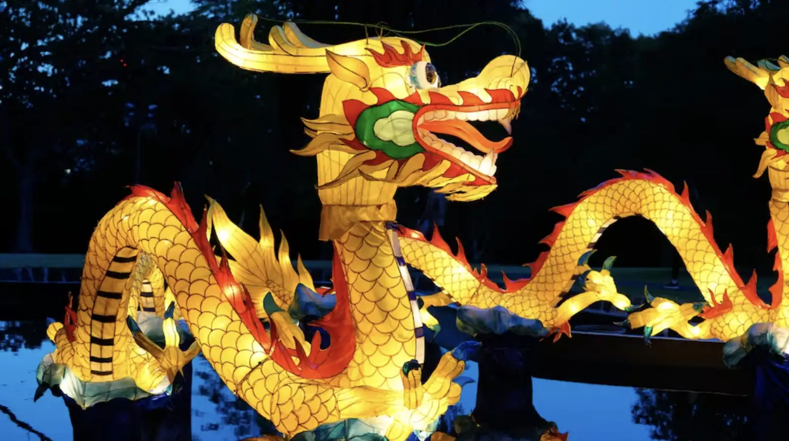 时隔四年再登场，奥克兰元宵灯会确定回归，新场地揭晓