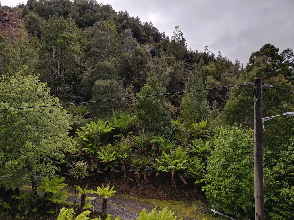 Queenstown A Natural Escape with Views and Adventure at Your Doorstep!